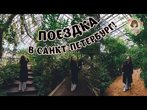 Видео: ✨🌱 ОТПУСК В САНКТ-ПЕТЕРБУРГЕ: Прогулка по Ботаническому саду