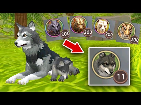 Видео: ШОК! ПОТЕРЯЛ АККАУНТ и НАЧАЛ с НУЛЯ в WILDCRAFT