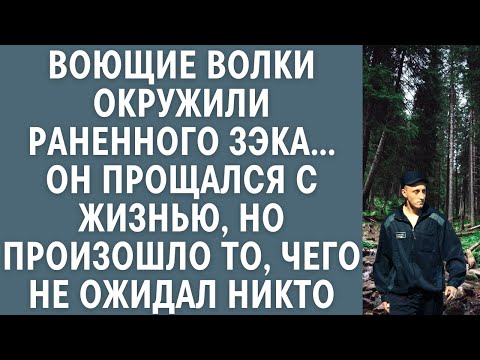 Видео: Воющие волки окружили раненного зэка… Он прощался с жизнью, но произошло то, чего не ожидал никто