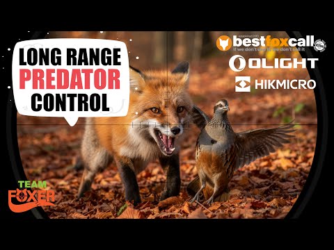 Видео: Стрельба на дальние дистанции, охота на лис и некоторые забавные выходки.