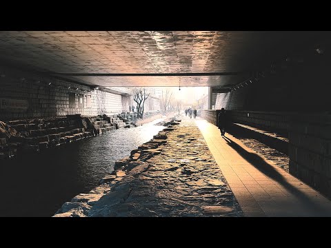 Видео: Артём Моргунов – Белая звезда | Mood video