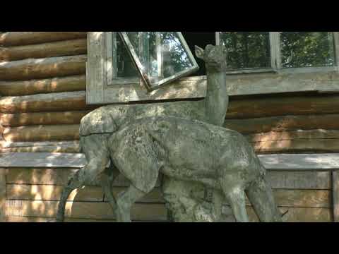Видео: Пансионат "Нижне-Липовский".
