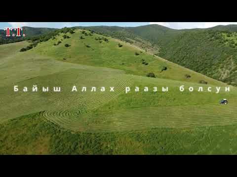 Видео: Тоюут жыйноо  Каба айылы  2024. Ж.