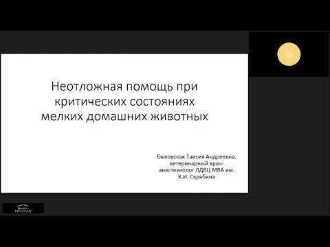 Видео: Неотложная помощь в критических состояниях МДЖ