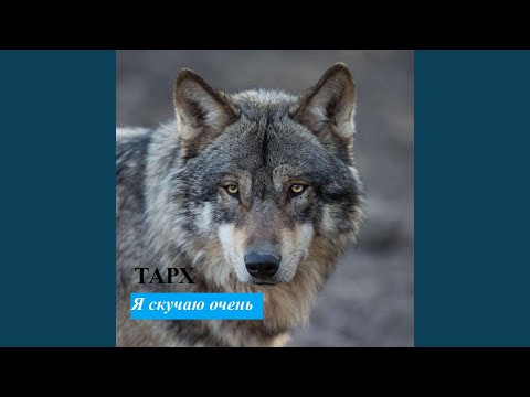 Видео: Я скучаю очень