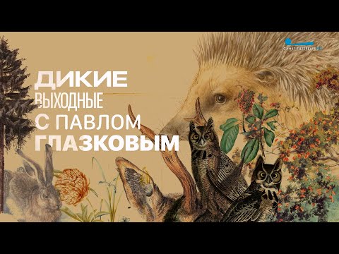 Видео: «Дикие выходные с Павлом Глазковым». Заказник «Новоорловский»
