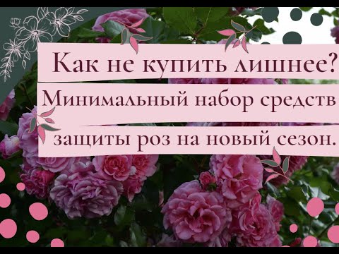 Видео: Как не купить лишнее? Минимальный набор средств защиты роз на новый сезон.