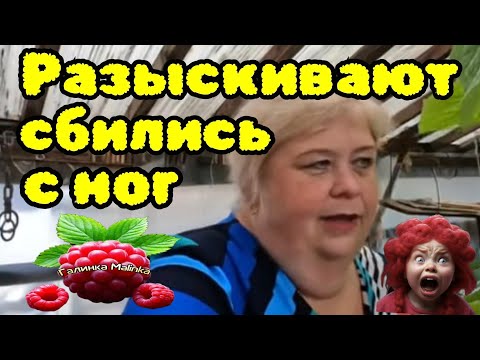 Видео: Ольга Уралочка live /Разыскивают /Сбились с ног /Обзор /Уралочка и Сафар