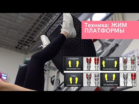 Видео: Техника упражнений: жим ногами