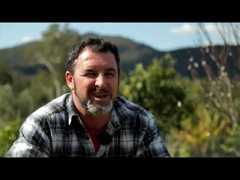 Видео: КРАСИВЫЙ  небольшой ПЕРМАКУЛЬТУРНЫЙ участок площадью 10 соток (in Russian)