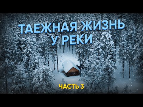 Видео: ТАЕЖНАЯ ЖИЗНЬ У РЕКИ В -20//ТАЕЖНЫЕ МГНОВЕНИЯ//СЮДА ХОЧЕТСЯ ВЕРНУТЬСЯ//ЧАСТЬ3