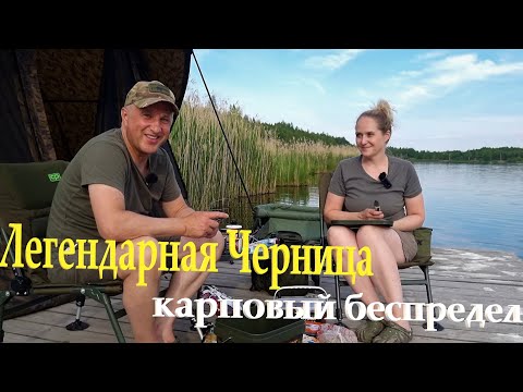 Видео: Легендарная Черница.  Карповый беспредел.