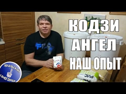 Видео: Зерновая брага на Кодзи Ангел. Ставим брагу из пшеницы и риса.