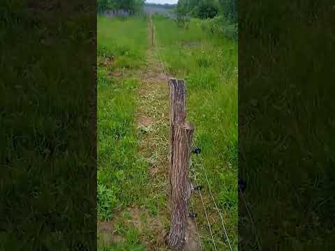 Видео: Электропастух для овец, коз, собак. Самая дешевая изгородь.