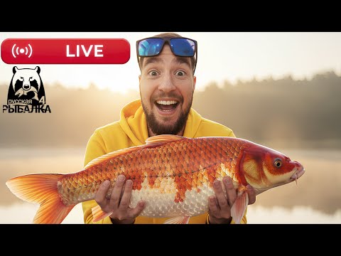 Видео: #shorts 🔴 РР4 СТРИМ | НОВЫЕ ТОЧКИ для Фарма! РОЗЫГРЫШ Каждые 20 минут