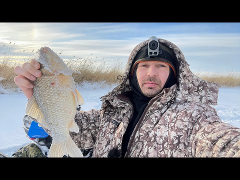 Видео: Хапуга для зимней рыбалки ловит карасей ! Рыбалка 2023 в глухозимье. Рыбалка на поплавок 2023