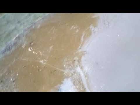 Видео: бассейн для уток ошибки