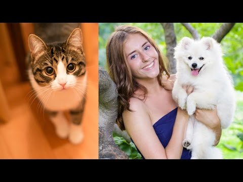 Видео: Фотосессия с котами и собачкой