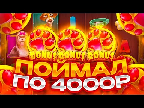 Видео: НЕРЕАЛЬНЫЙ КАМБЭК В БОНУСКЕ ПО 4000Р! ЗАНОСЫ НЕДЕЛИ в THE DOG House!