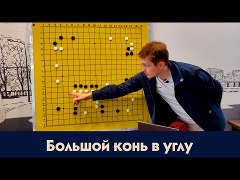 Видео: Большой конь в углу  Уроки Го Алексея Кожункова