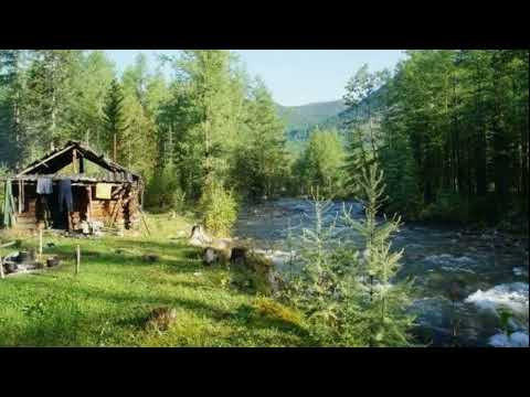 Видео: СБОРНИК ЗАХВАТЫВАЮЩИХ ТАЕЖНЫХ ИСТОРИЙ