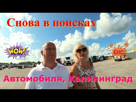 Видео: Снова в поисках автомобиля в Калининграде