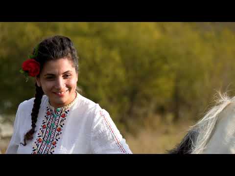 Видео: Радо ле, Радке