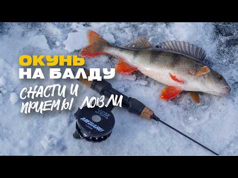 Видео: Снасть БАЛДА на Окуня Зимой со Льда