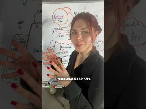 Видео: Что такое кетоновые тела? И какую функцию они выполняют в организме?