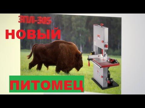 Видео: ЗПЛ-305 ленточная пила Зубр / осмотр и настройка / Чего купил 6#