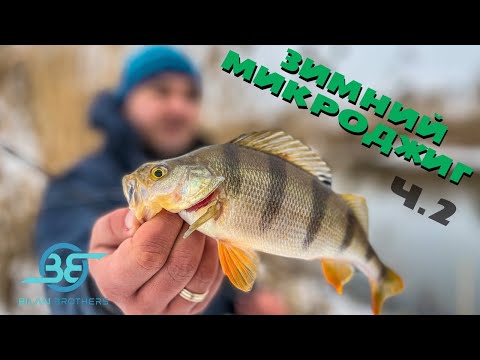 Видео: Секреты ЛОВЛИ окуня на МИКРОДЖИГ . 2ч.