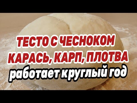 Видео: ТЕСТО ДЛЯ РЫБАЛКИ С ЧЕСНОКОМ НА КАРАСЯ. РАБОТАЕТ КРУГЛЫЙ ГОД ! Проверено !!
