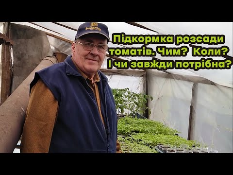 Видео: Підкормка розсади томатів. Чим? Коли? Та чи завжди потрібна?