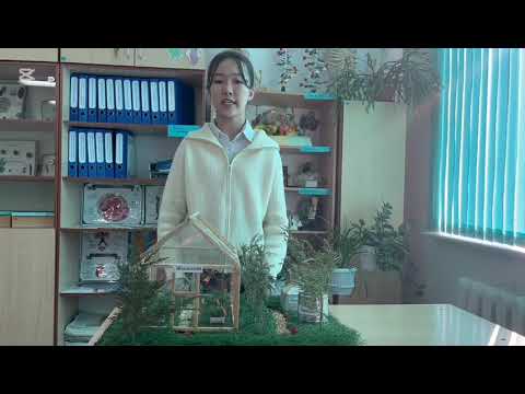 Видео: Т.Рысқұлов ауданы, "Мен зерттеушімін" байқауы