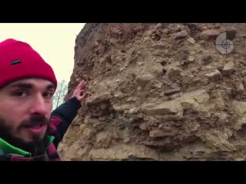 Видео: Геология Ленобласти. Карьер у  дер. Вильповицы