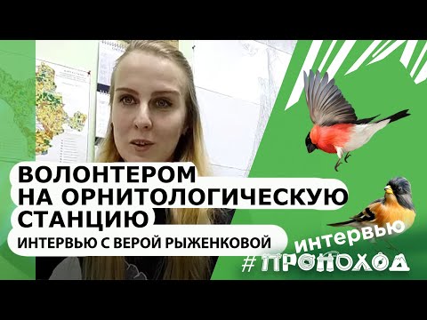 Видео: Волонтерство на Ладожской орнитологической станции. Интервью с Верой Рыженковой.
