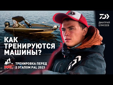 Видео: КАК ТРЕНИРУЮТСЯ МАШИНЫ? x ДМИТРИЙ ЕЛИСЕЕВ