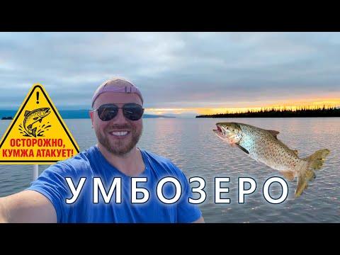 Видео: Охота за Умбозерской кумжей