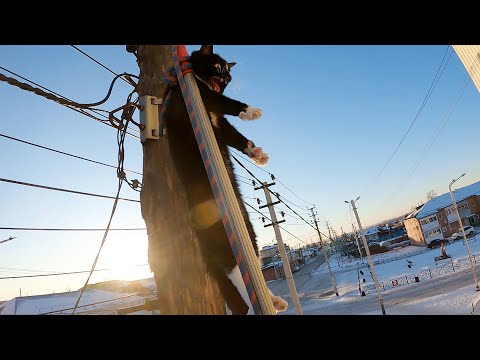 Видео: Неизвестный.. нашёлся