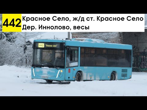 Видео: Автобус 442 "Дер. Иннолово, весы - Красное Село, ж/д ст. "Красное Село" (маршрут закрыт)