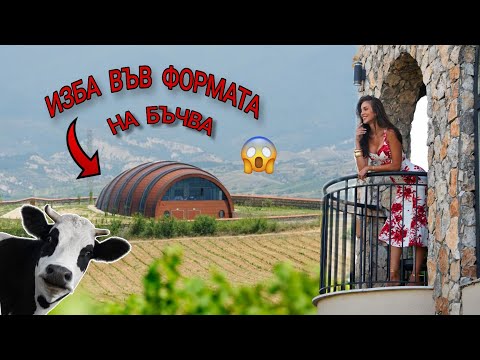 Видео: КОЯ Е КРАВАТА ДЖЕРСЕЙ? 🐮 И ЗАЩО ЗАВИСЕХМЕ ОТ НЕЯ🫣