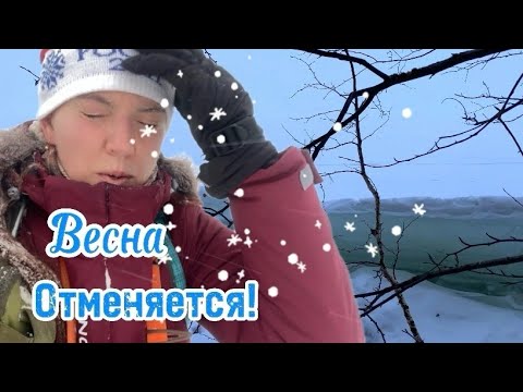 Видео: Таинственный остров Верх-Исетского пруда