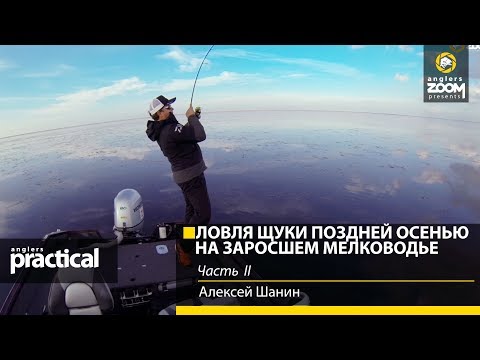 Видео: Ловля щуки воблерами поздней осенью на заросшем мелководье. А. Шанин. Часть 2. Anglers Practical