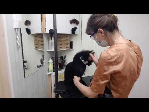 Видео: Способы держать фен