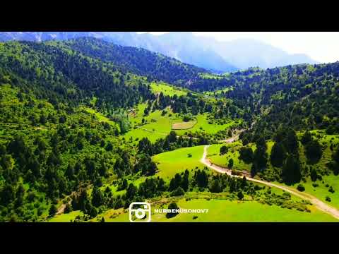 Видео: Таш-булак Жайлоосу Ноокат району Кулатов айылы..