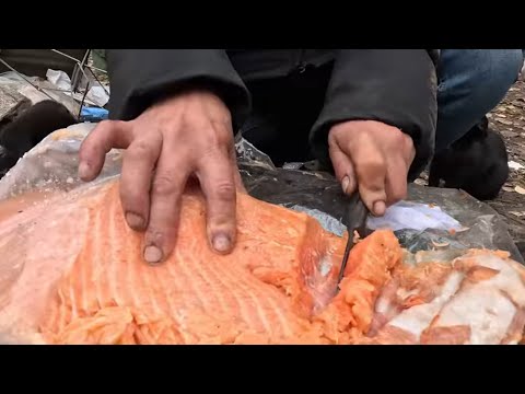 Видео: Обычный обед бомжей семга с яичками. Юля и Саша. Мусорщик.