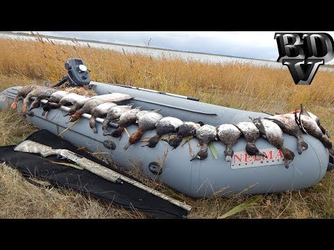 Видео: Охота на утку 2019 !!! СТОЛЬКО УТОК Я ЕЩЕ НЕ ВИДЕЛ