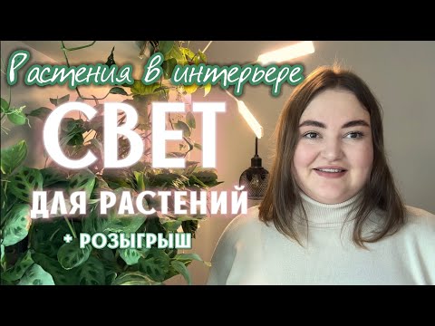 Видео: СВЕТ для РАСТЕНИЙ | фитолампы | мои РАСТЕНИЯ в ИНТЕРЬЕРЕ