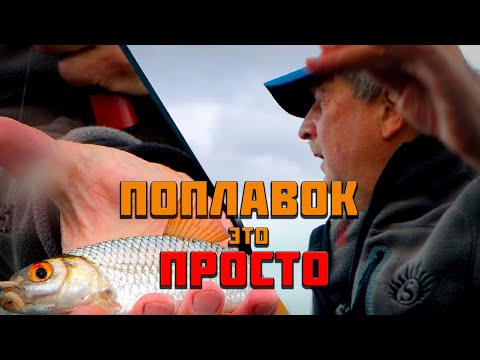 Видео: НА ЛОДКЕ ЗА ПЛОТВОЙ. ИНТЕРЕСНАЯ И ДОБЫЧЛИВАЯ РЫБАЛКА!