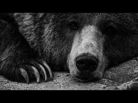 Видео: Элдэв гэмт хэргүүдийн түүвэр (Volume 4)